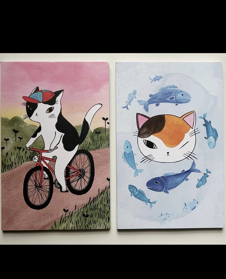 Conjunto de 2 cuadernos de Stasia Burrington
