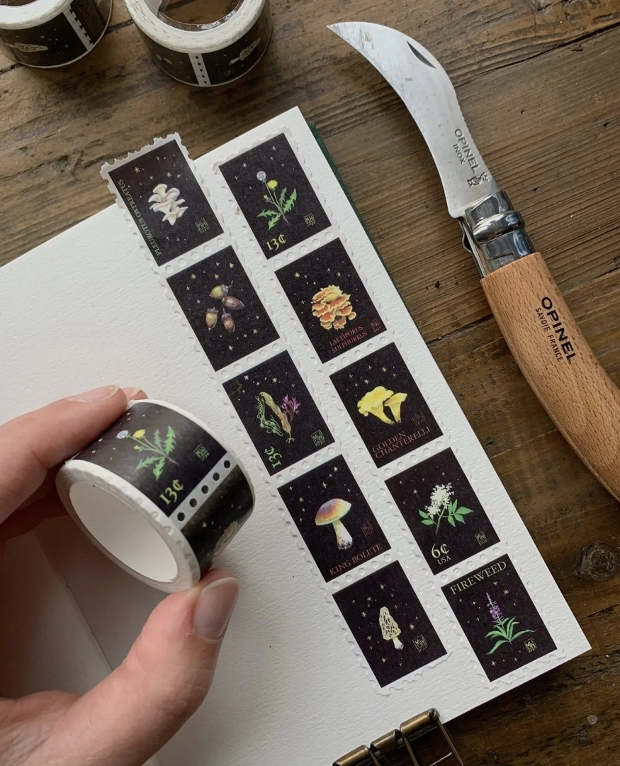 WASHI PLANTAS Y HONGOS