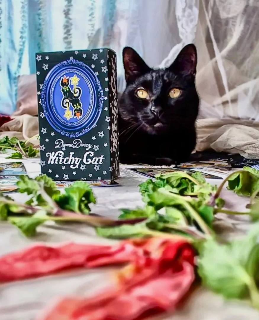 Witchy Cat Tarot